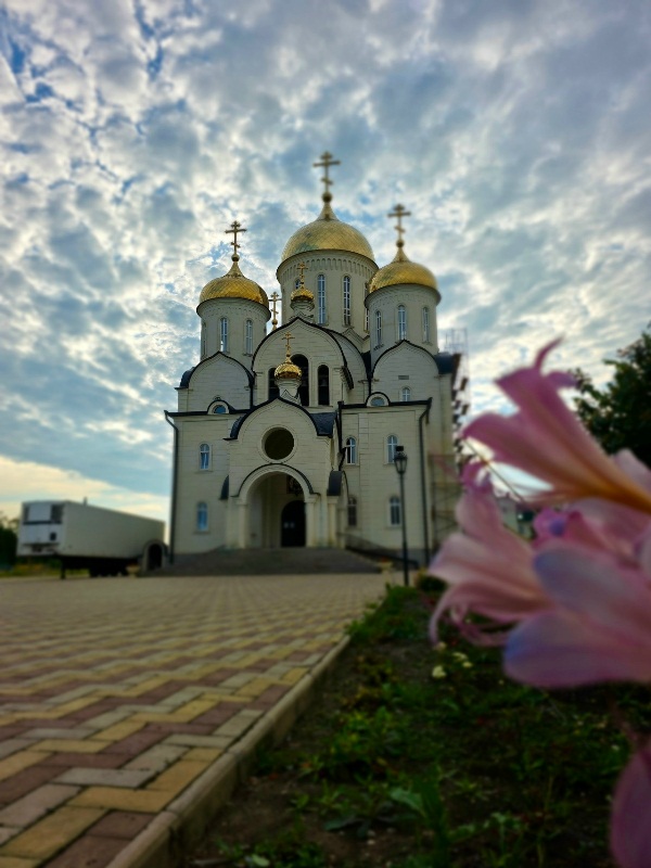 В день Семи отроков Эфесских епископ Николай возглавил Божественную литургию в Георгиевском соборе